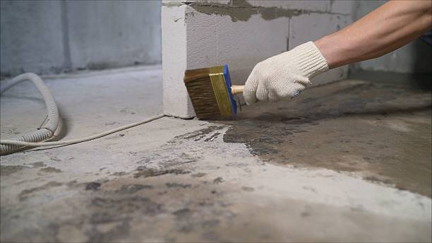 SJ Waterproofing Pros Basement Waterproofing coverage map for Northport, AL and surrounding area